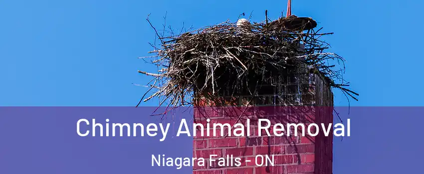 Chimney Animal Removal Niagara Falls - ON
