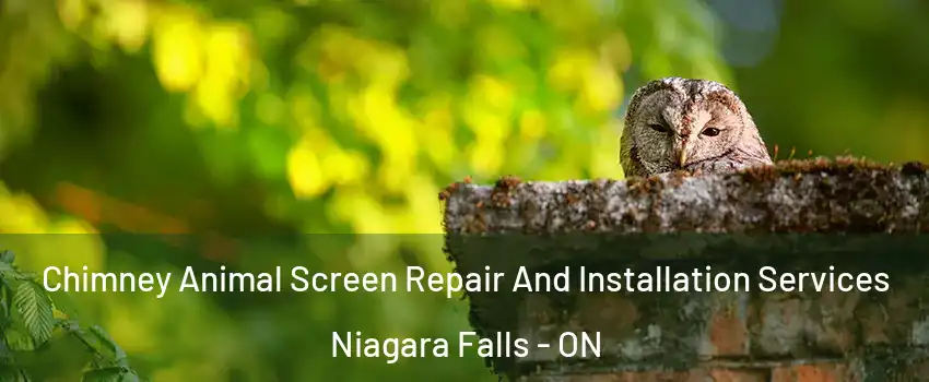  Chimney Animal Screen Repair And Installation Services Niagara Falls - ON