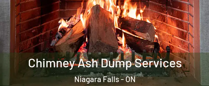  Chimney Ash Dump Services Niagara Falls - ON