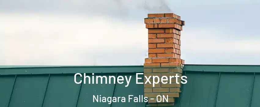  Chimney Experts Niagara Falls - ON