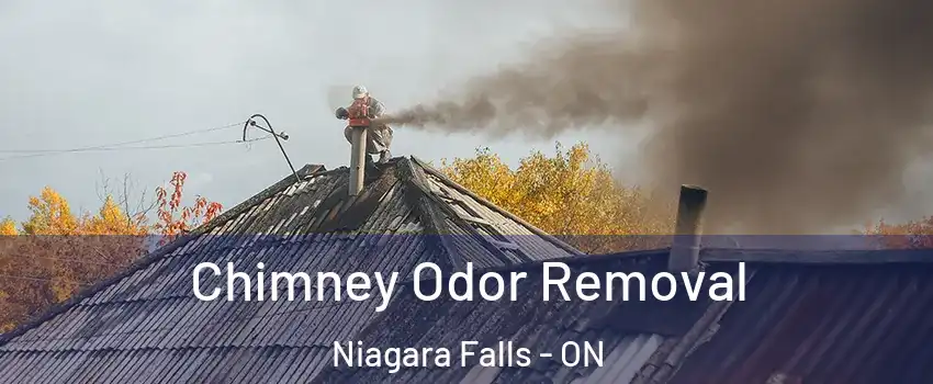  Chimney Odor Removal Niagara Falls - ON