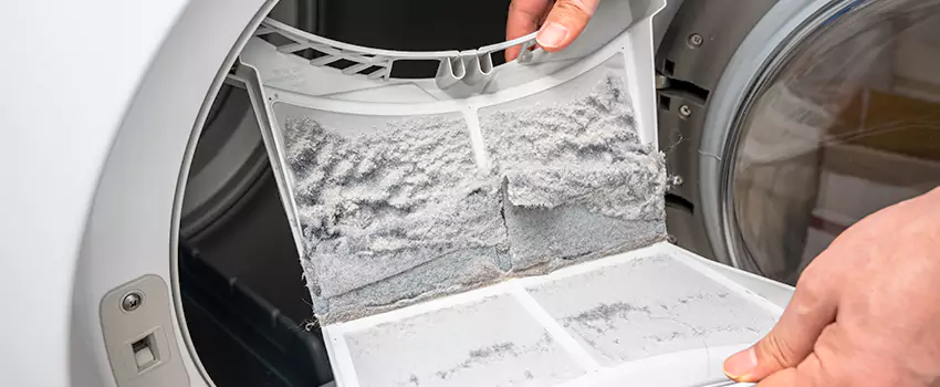 Best Dryer Lint Removal Company in Niagara Falls, Ontario