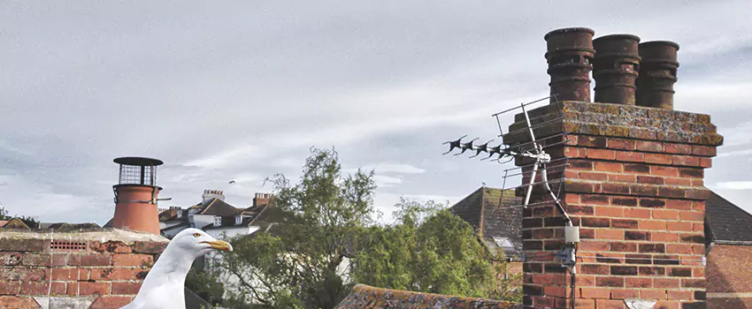 Chimney Cleaning And Restoration in Niagara Falls, Ontario