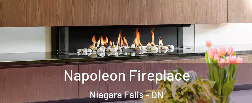  Napoleon Fireplace Niagara Falls - ON